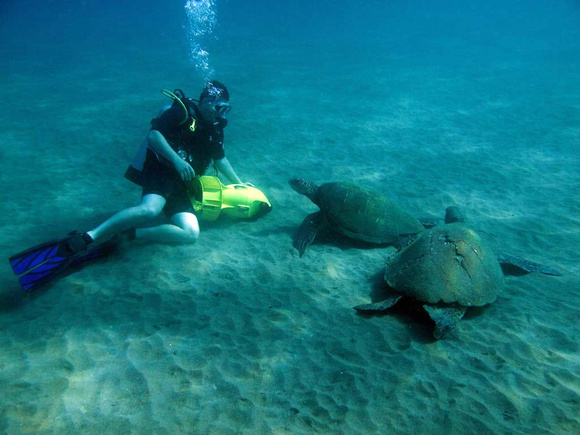 gallery-maui-scuba-photos-turtles-scooter-diver-ba