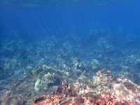 11-Apr-23 Wailea Point Eco Snorkel
