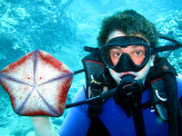 gallery-maui-scuba-photos-pincushion-starfish-diver-kid-ba