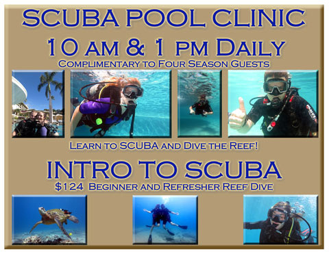 gallery-intro-to-scuba-clinic