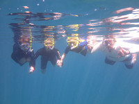 2016-07-11 Aftahi snorkel (phil)