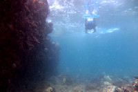 14-Apr-17 Boren Dive (Rbo)