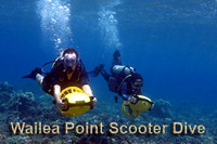 Wailea Point Scooter Dive