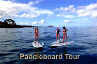 Paddleboard Tours