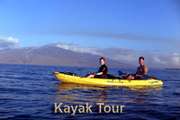 Kayak Tours and Whale Watching