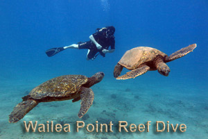 wailea-point-reef-dive