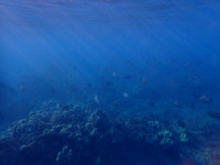 P1133255