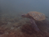 P3220088