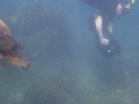 P3270019