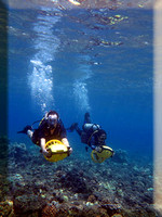 gallery-wailea-point-scooter-dive