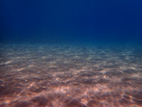 P5163235