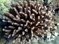 P7060110