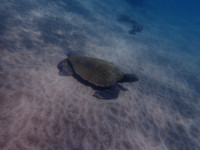 P7248968
