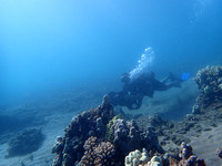 P8060014