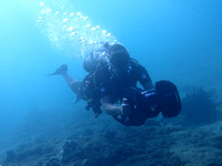 P8060021