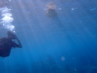 P3120158