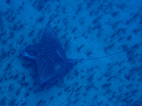 P6043781
