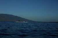22-Jan-20 Private Kayak Whale Watch Joyce (Blaze)