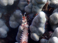 P3181039