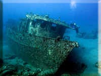 gallery-st-anthonys-ship-wreck-diver