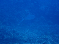 P5022808