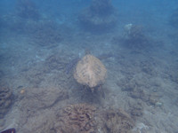 P9240020