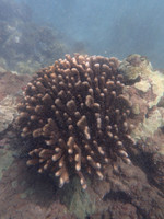 P5133102