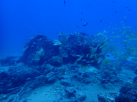 P5283586