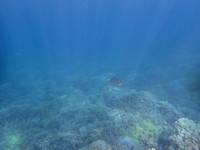 P4300576