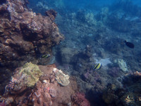 P5012682