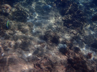 P7015239