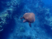 P4065911