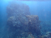 PA100016