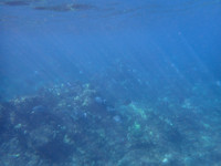 P7040011